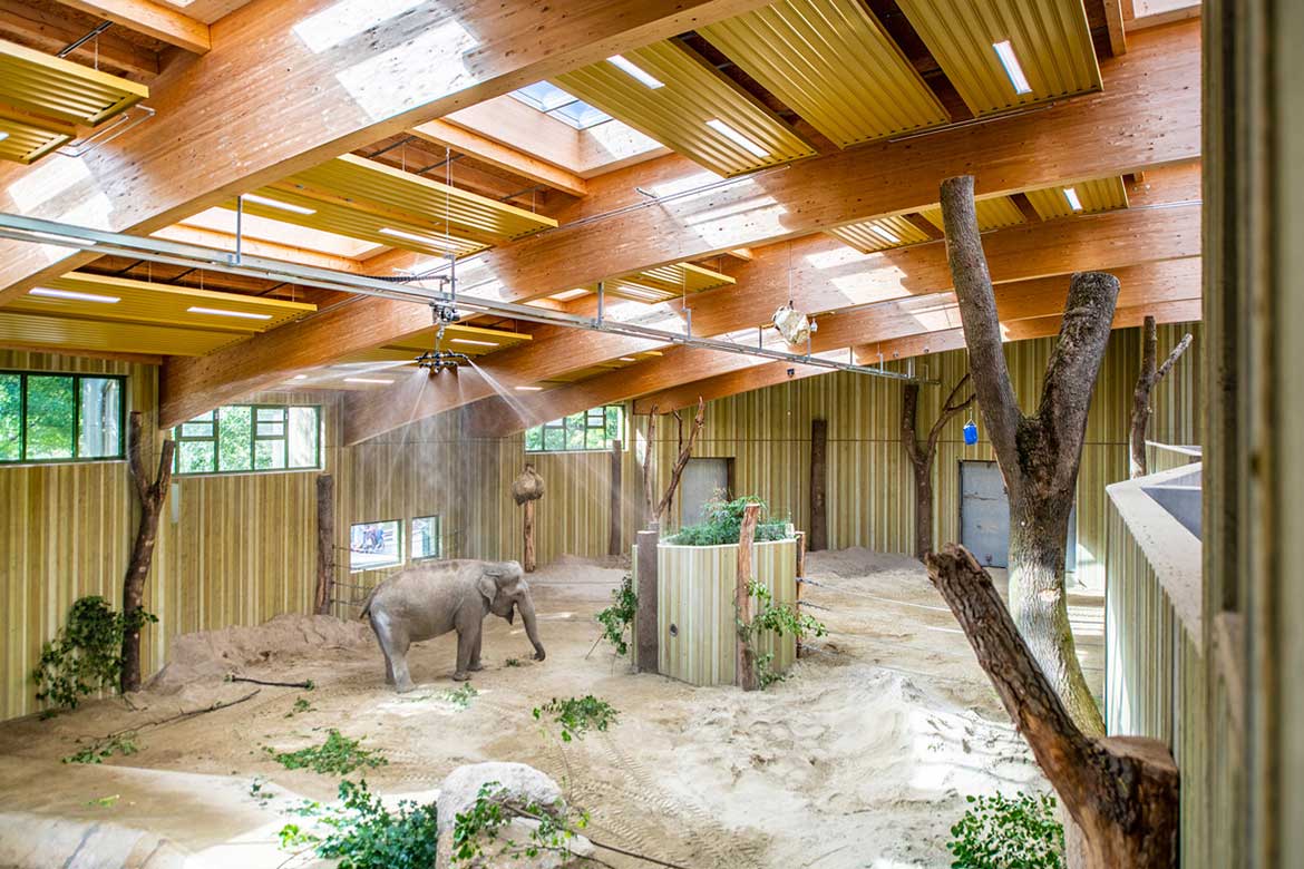 Deckenstrahlplatten in savannengelb im Augsburger Zoo